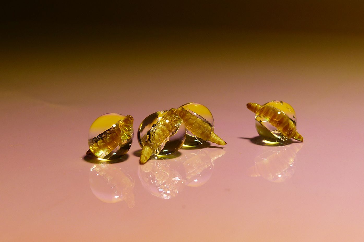 Materialküche der Natur - From Nature to Nature - Designhaus Darmstadt - Biomaterialien der Zukunft