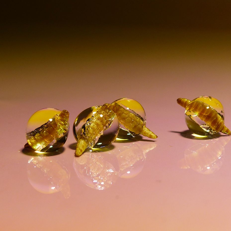 Future Food Designers Brunch - From Nature to Nature - Designhaus Darmstadt - Biomaterialien der Zukunft