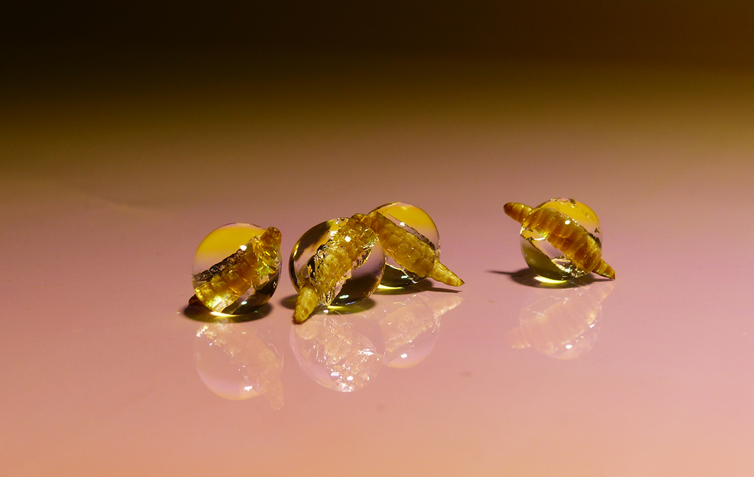 Future Food Designers Brunch - From Nature to Nature - Designhaus Darmstadt - Biomaterialien der Zukunft