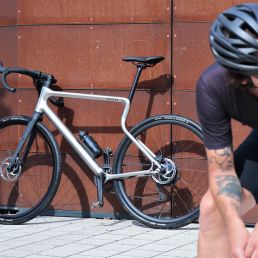 3D Pioneers Challenge - Urwahn Waldwiesel