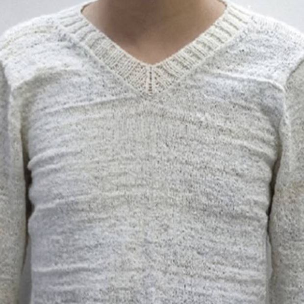 Eisbaerfaser Aerogel Polar Bear Fur