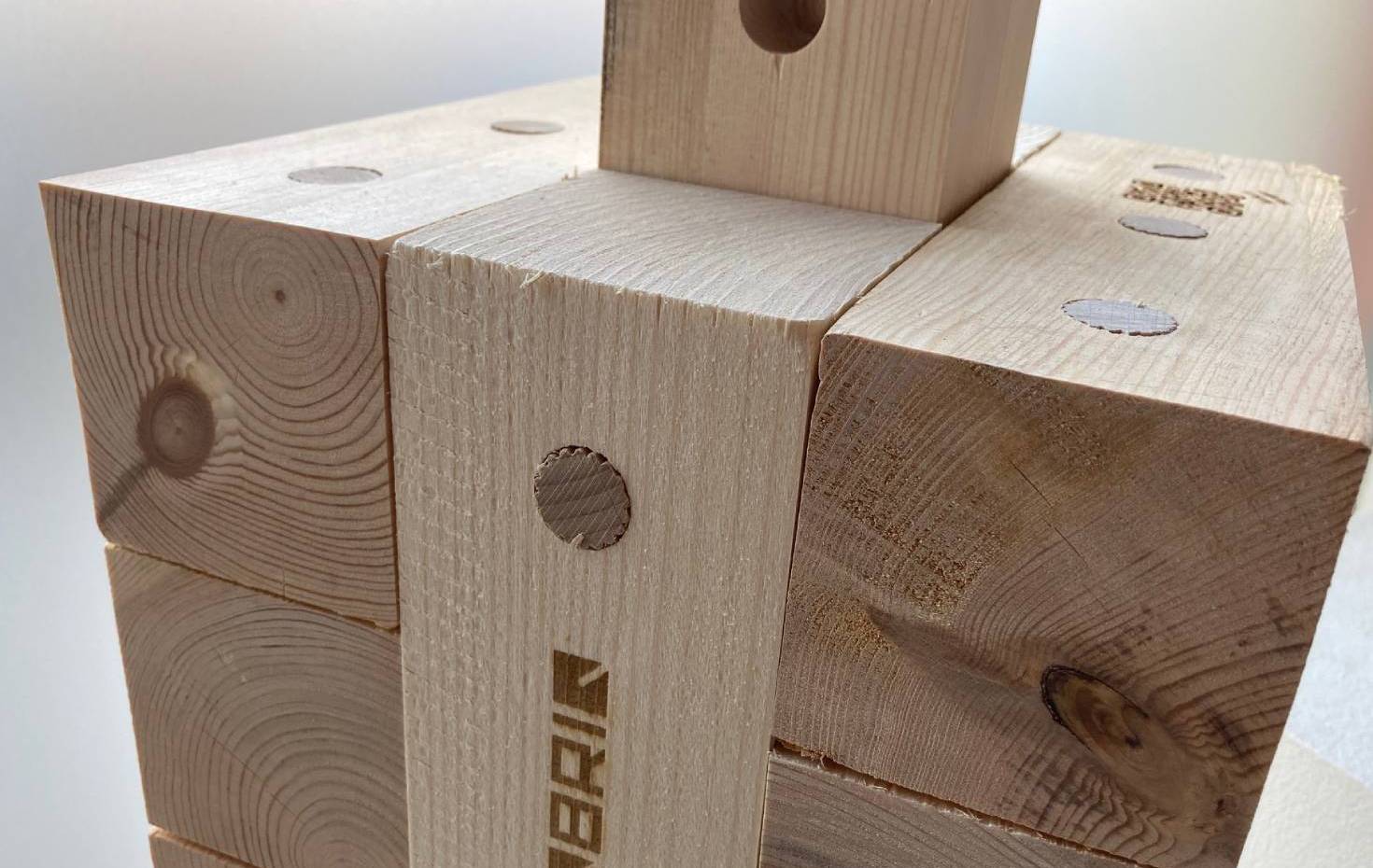 TriqBriq Holzbaustein - Leim- und metallfreies Bauen mit Holz