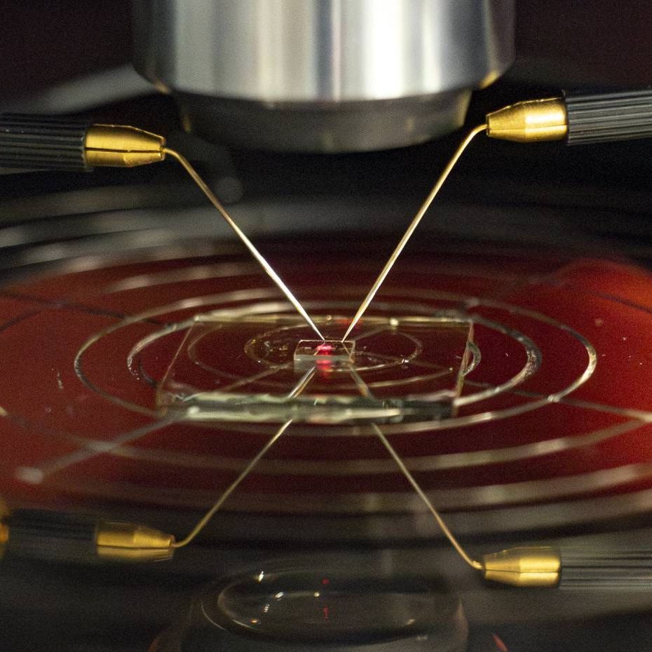 Empa Perovskit Bildsensor