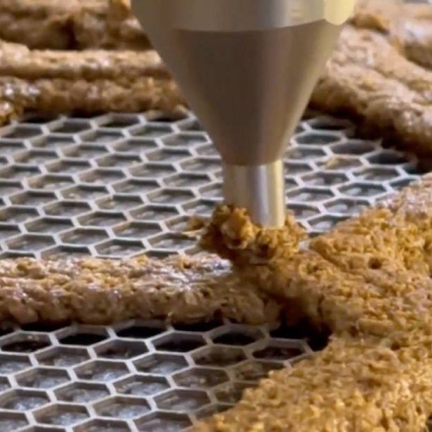 Willowprint 3D Druckmaterial Aus Holzresten 3D Pioneers Challenge