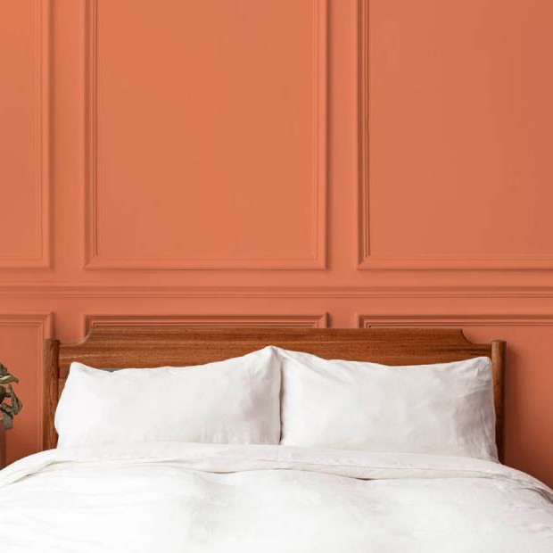 Paint Zero Wandfarbe zum Anrühren - plastikfrei - kompostierbar - low-impact