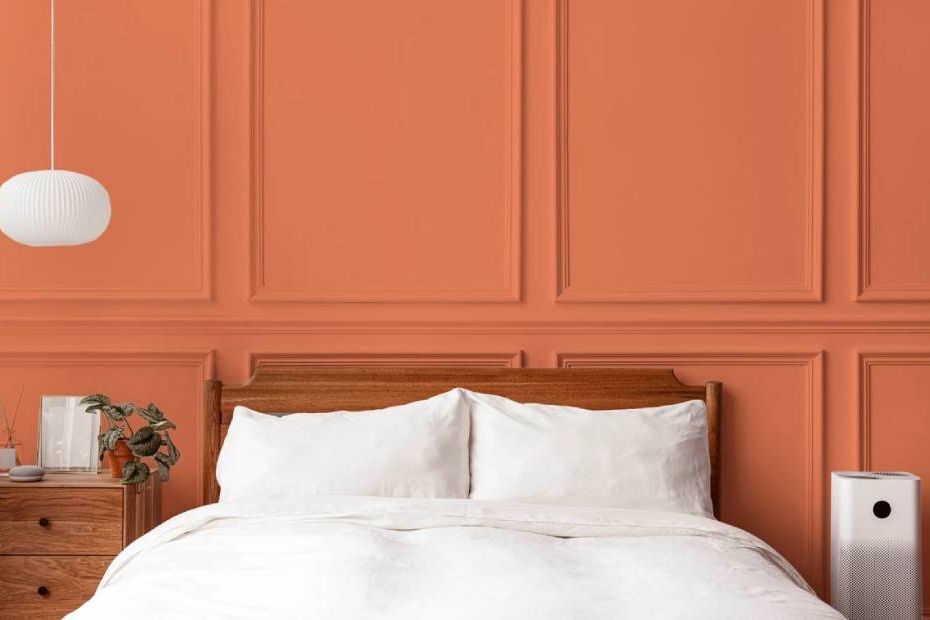 Paint Zero Wandfarbe zum Anrühren - compostable - low-impact