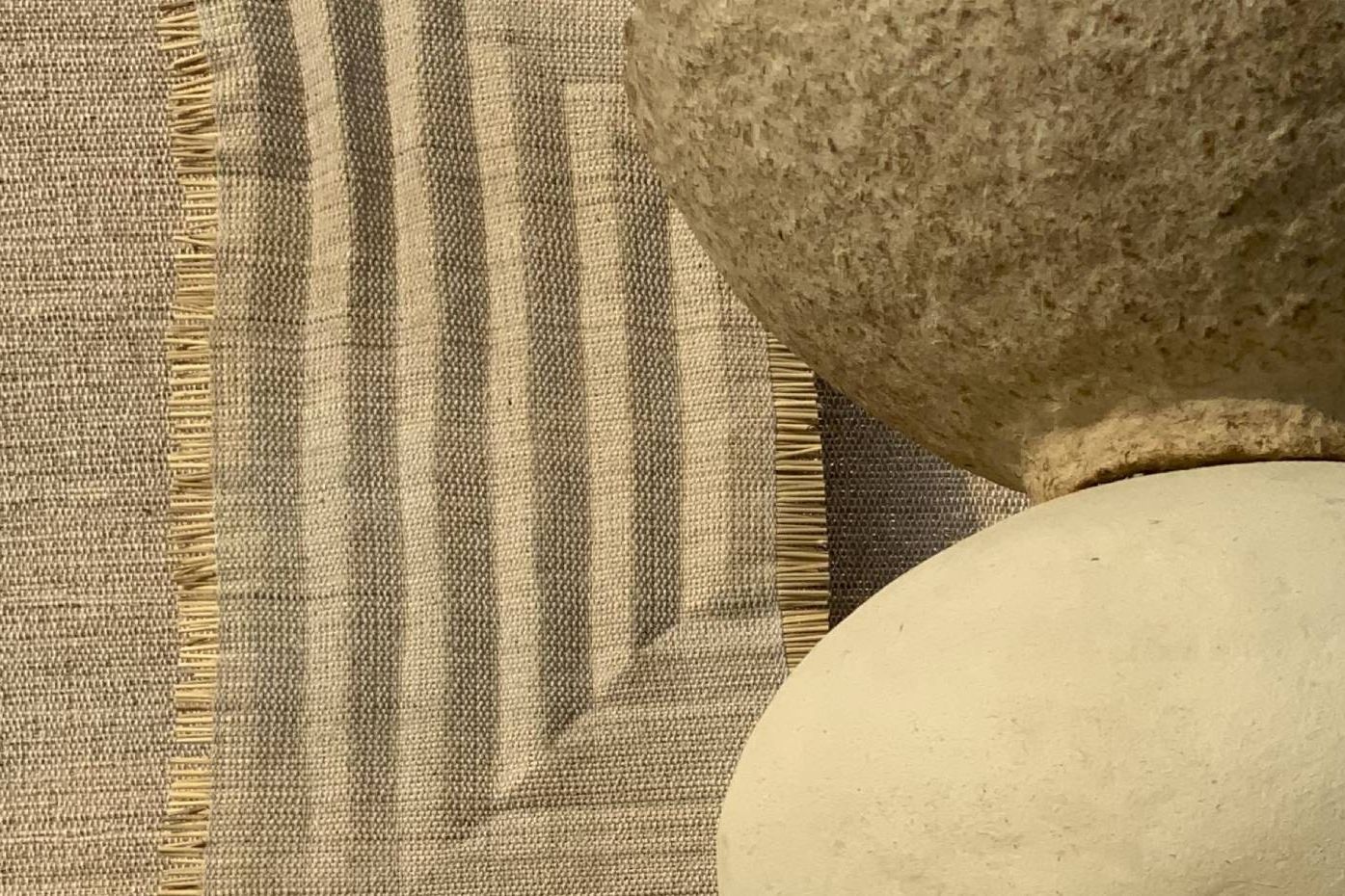ParaliRiceStrawTextile Aarushi Mittal Healthy Material