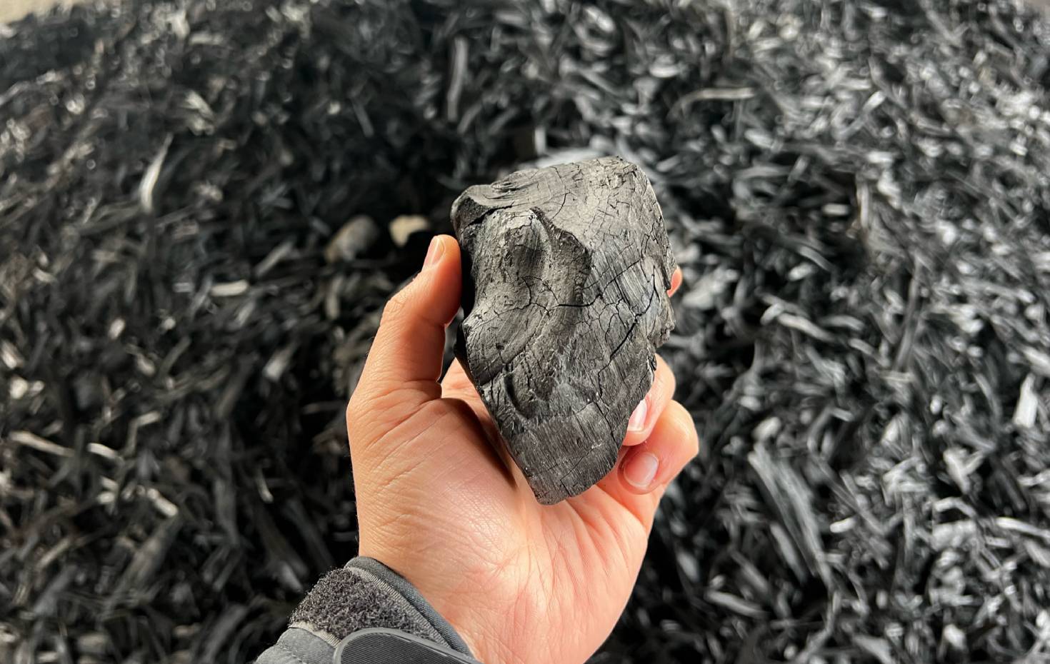 Biokohle Carbonauten Schwarz ist das neue Grün