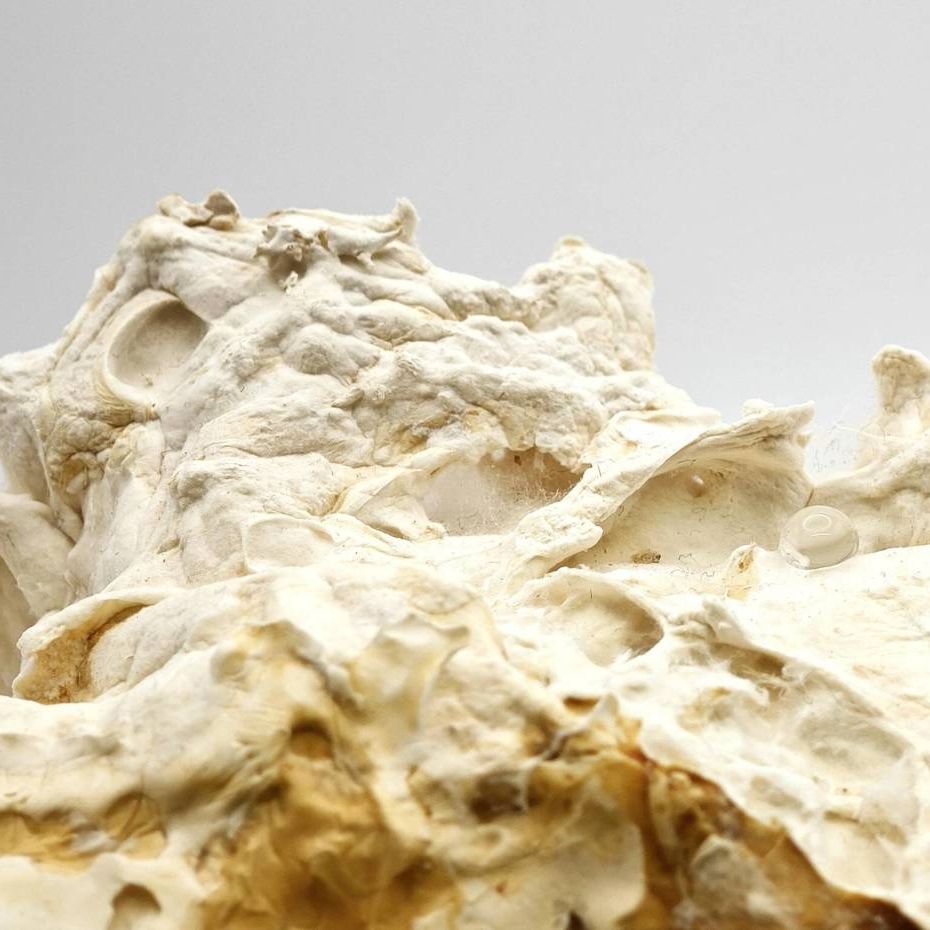 From Nature to Nature - Pilzmyzel - Fungi - Mycoustics