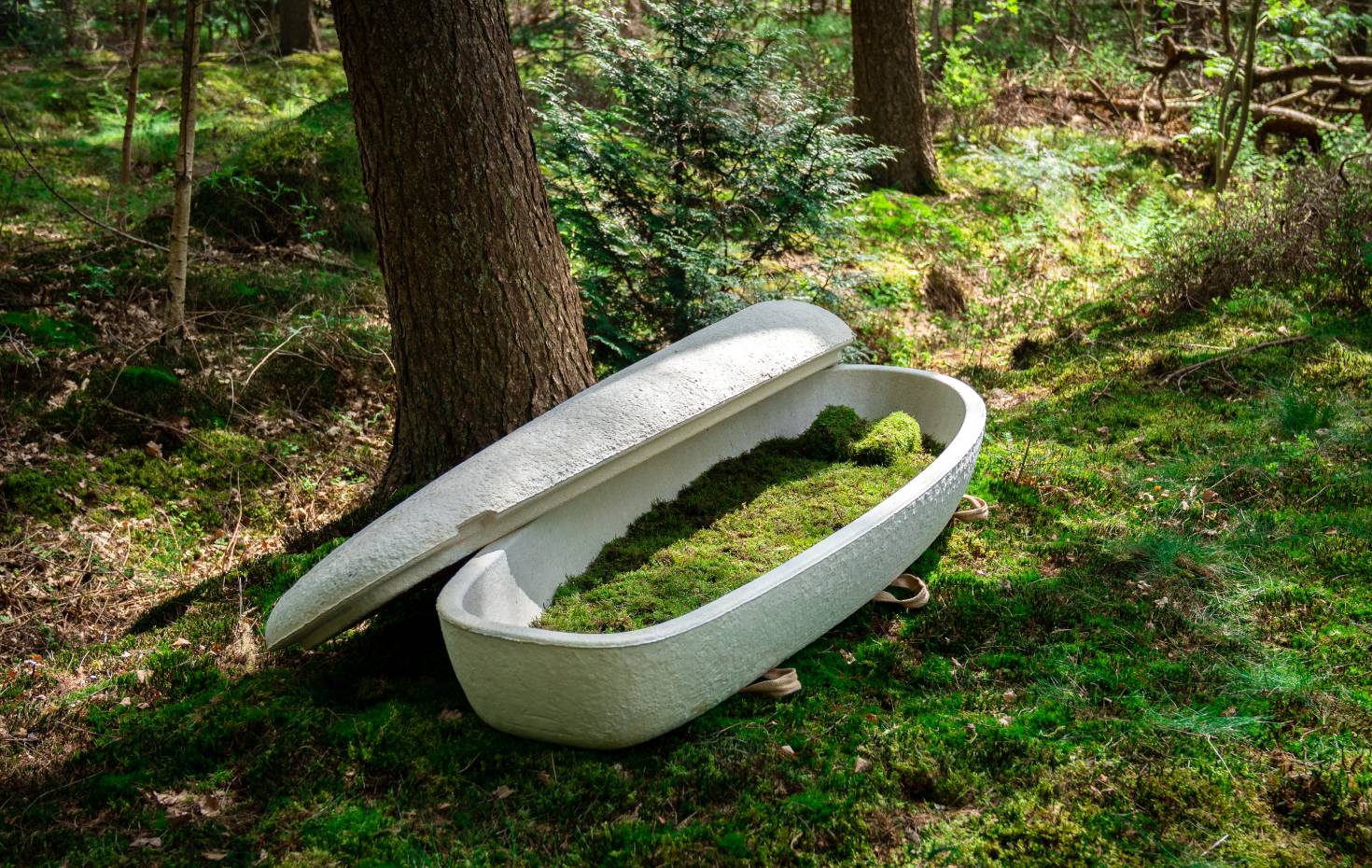 Bundespreis Ecodesign 2025 - Loop Biotech - Mushroom Coffin
