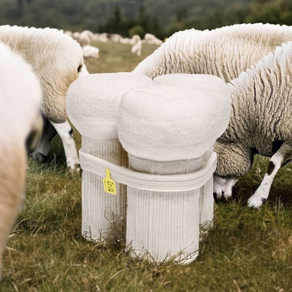 Bundespreis Ecodesign 2025 Mareen Baumeister Flock Schafwolle - Future Furniture