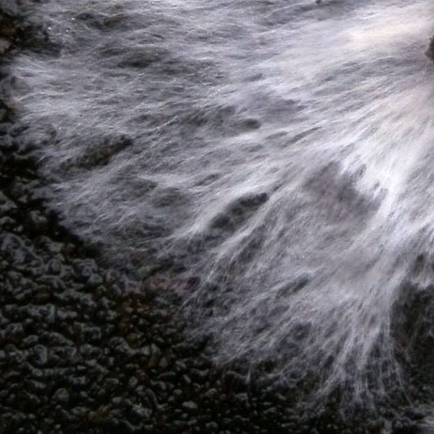 Pilzmyzel Bio-Klebstoff - Mycelium Oyster Bioadhesive Mycoustics Biomaterial