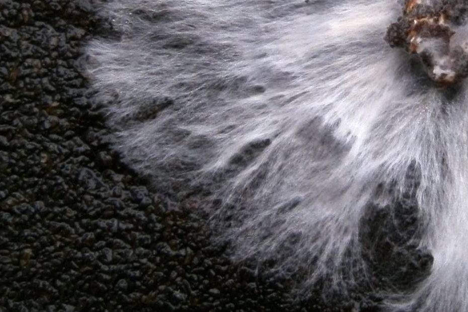 Pilzmyzel Bio-Klebstoff - Mycelium Oyster Bioadhesive Mycoustics Biomaterial