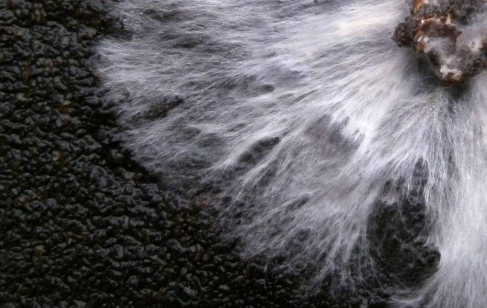 Pilzmyzel Bio-Klebstoff - Mycelium Oyster Bioadhesive Mycoustics Biomaterial