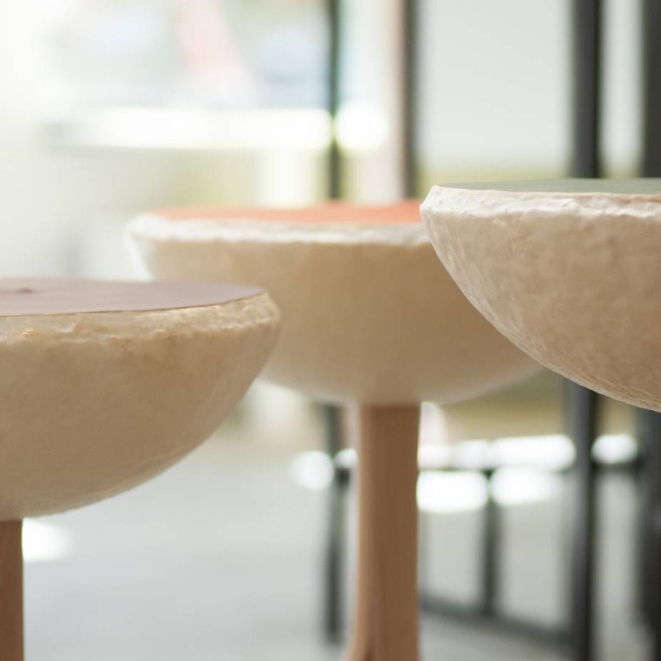 Mycodesk Bernd Goertz From Nature to Nature Mycelium low-impact Furniture