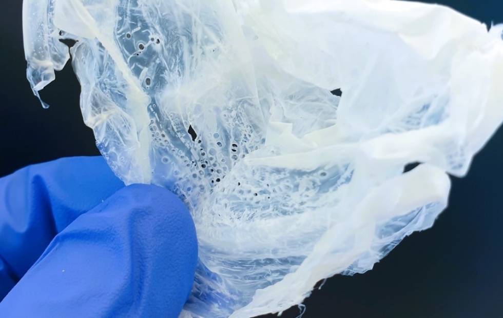 Biomaterial für den Garten - Biokunststoff PHA Fraunhofer IGB