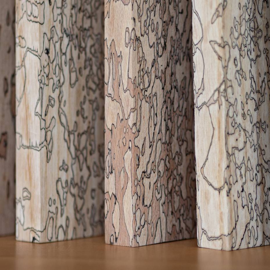 empa Marmorholz Pilzmuster aus Melanin