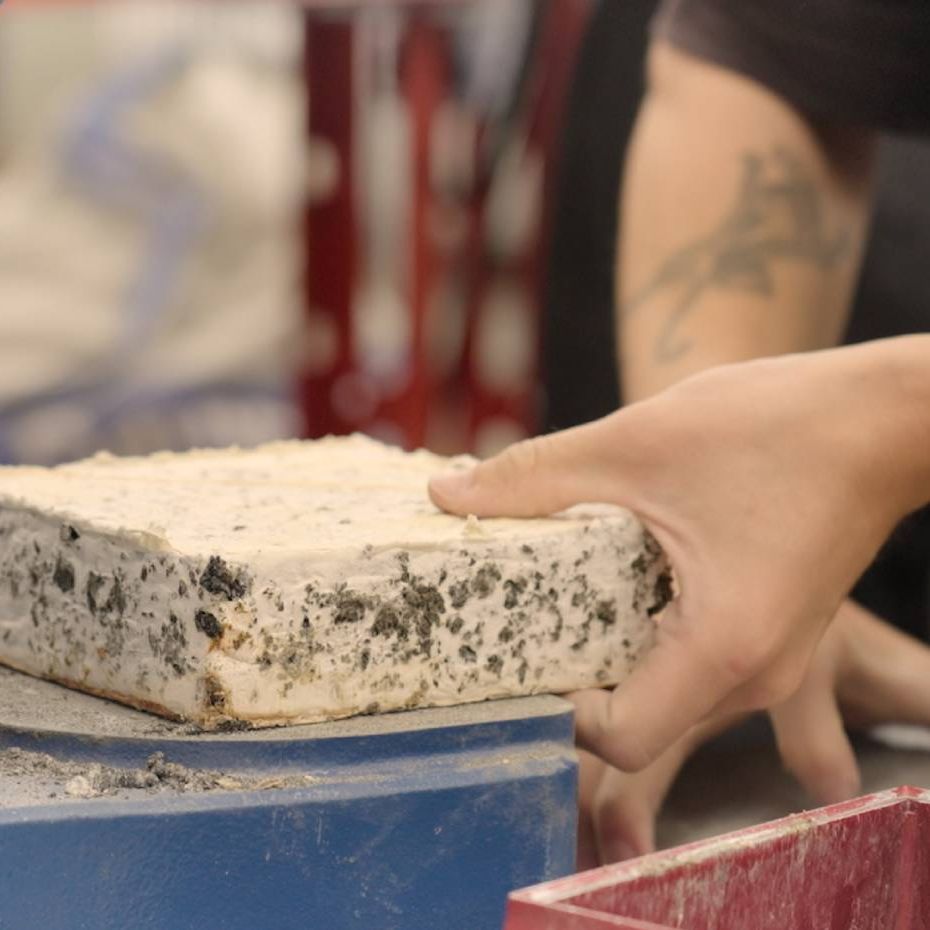 VisiPaver Pilzpflasterstein Mit Myzelbindung Von Visibuilt