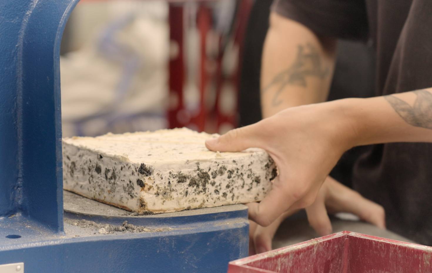 VisiPaver Pilzpflasterstein Mit Myzelbindung Von Visibuilt