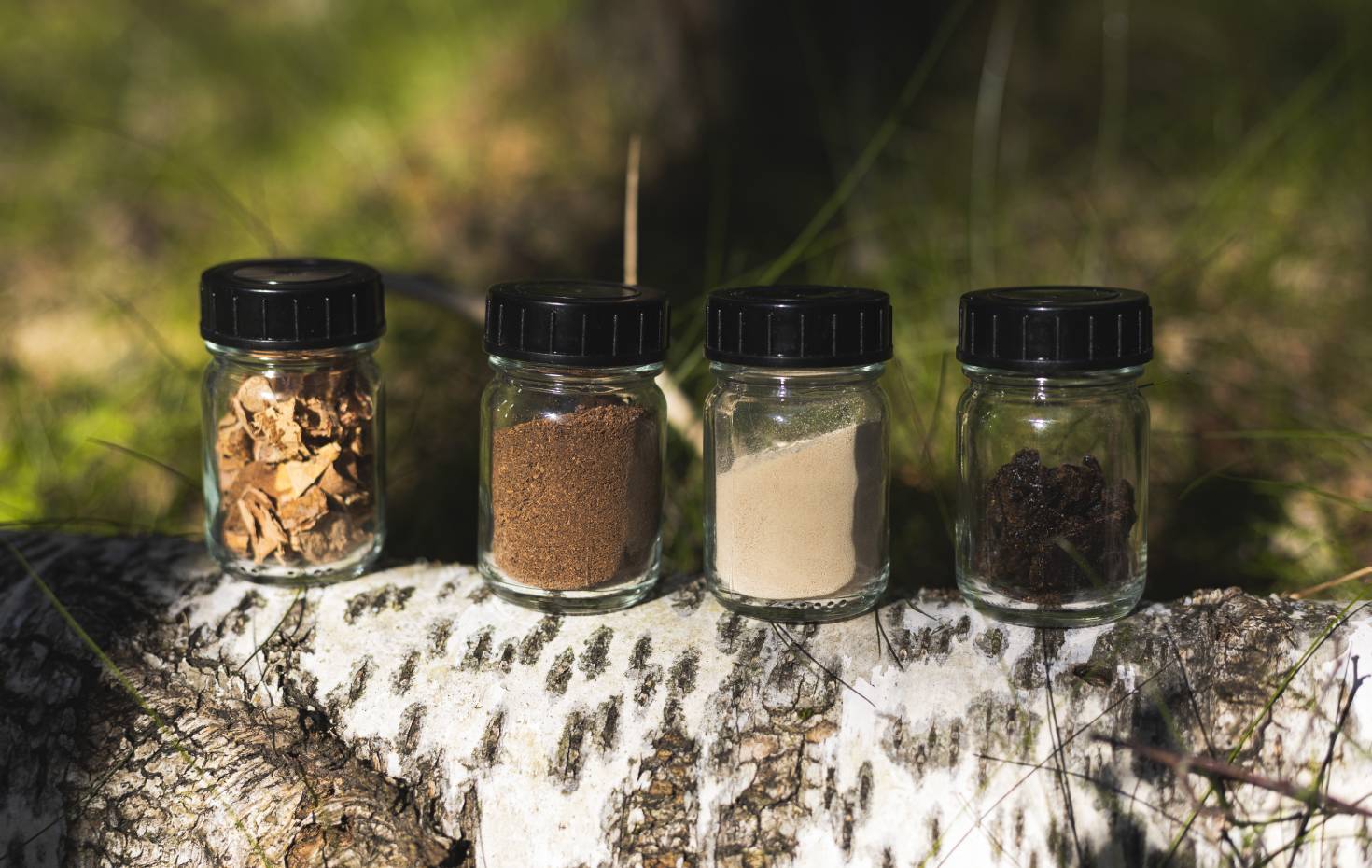 Reselo Tyre ingredients from birch bark